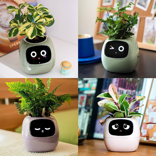 Doniczka SmartBotanik Ai